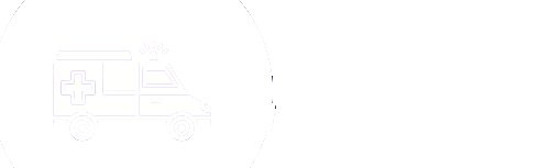 Ateş AmbulansLogo